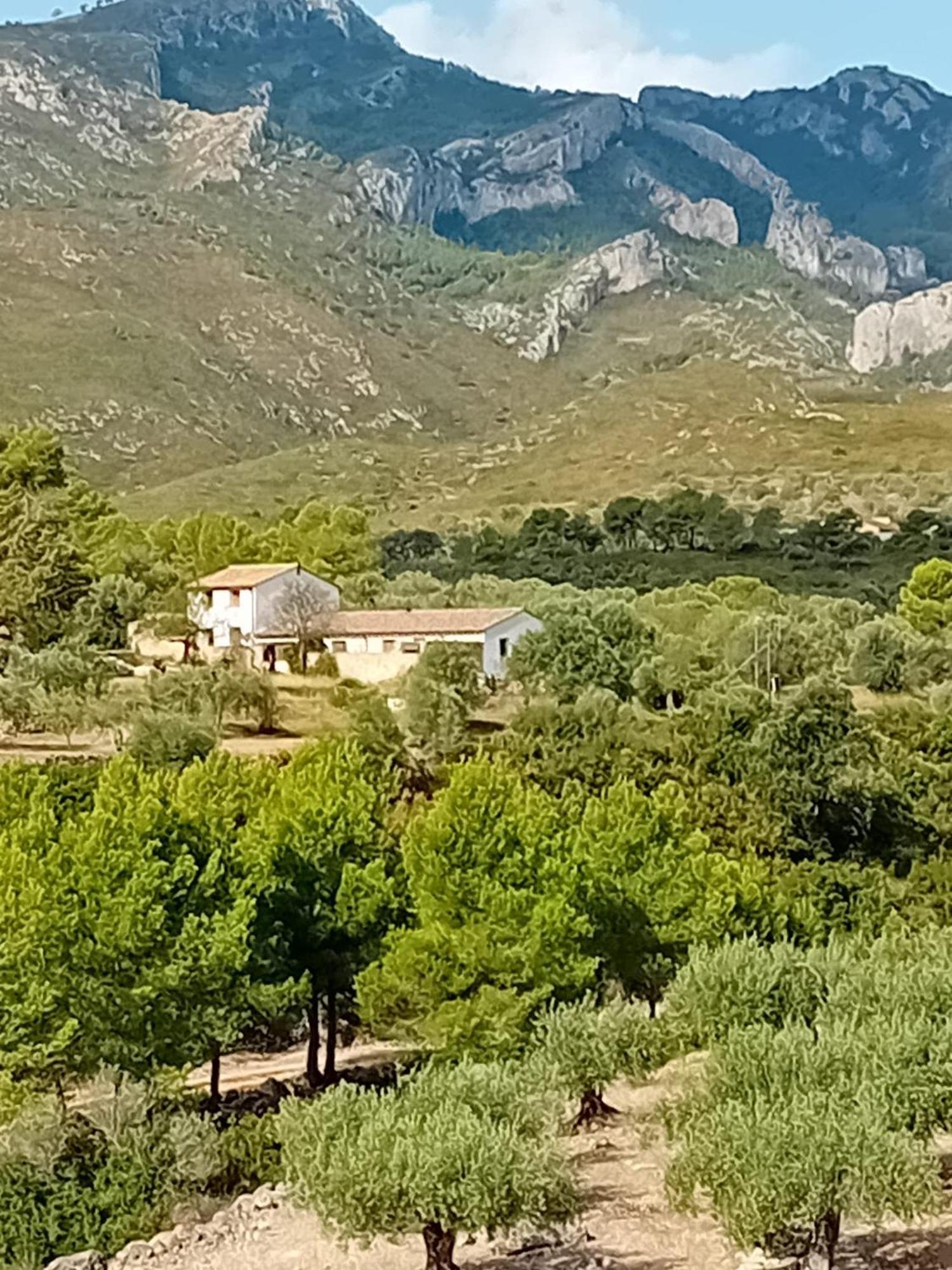 Casa Solans - Casa Rural Rasquera Экстерьер фото